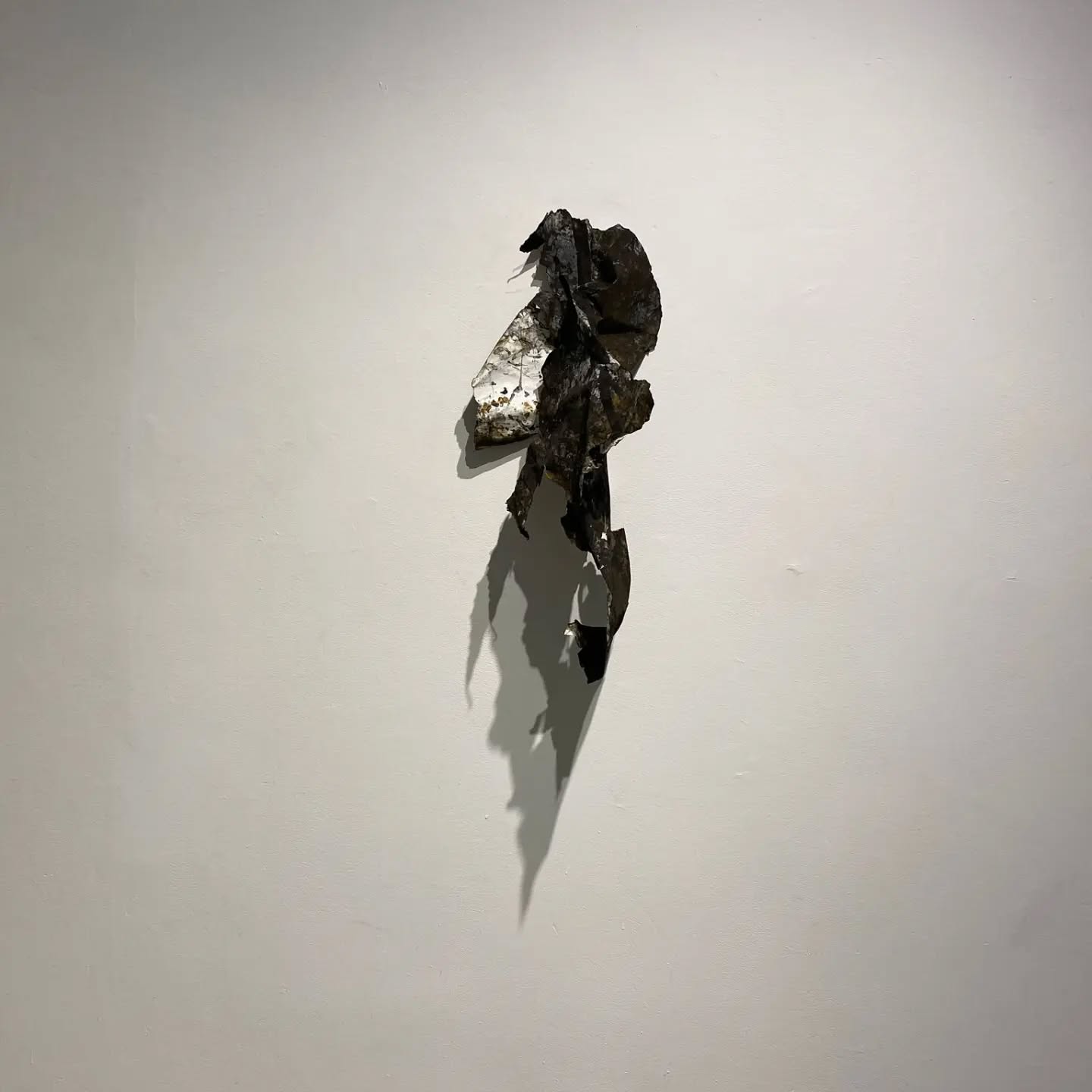 Angel Wing by Sarah Patricia Hughes, 2025